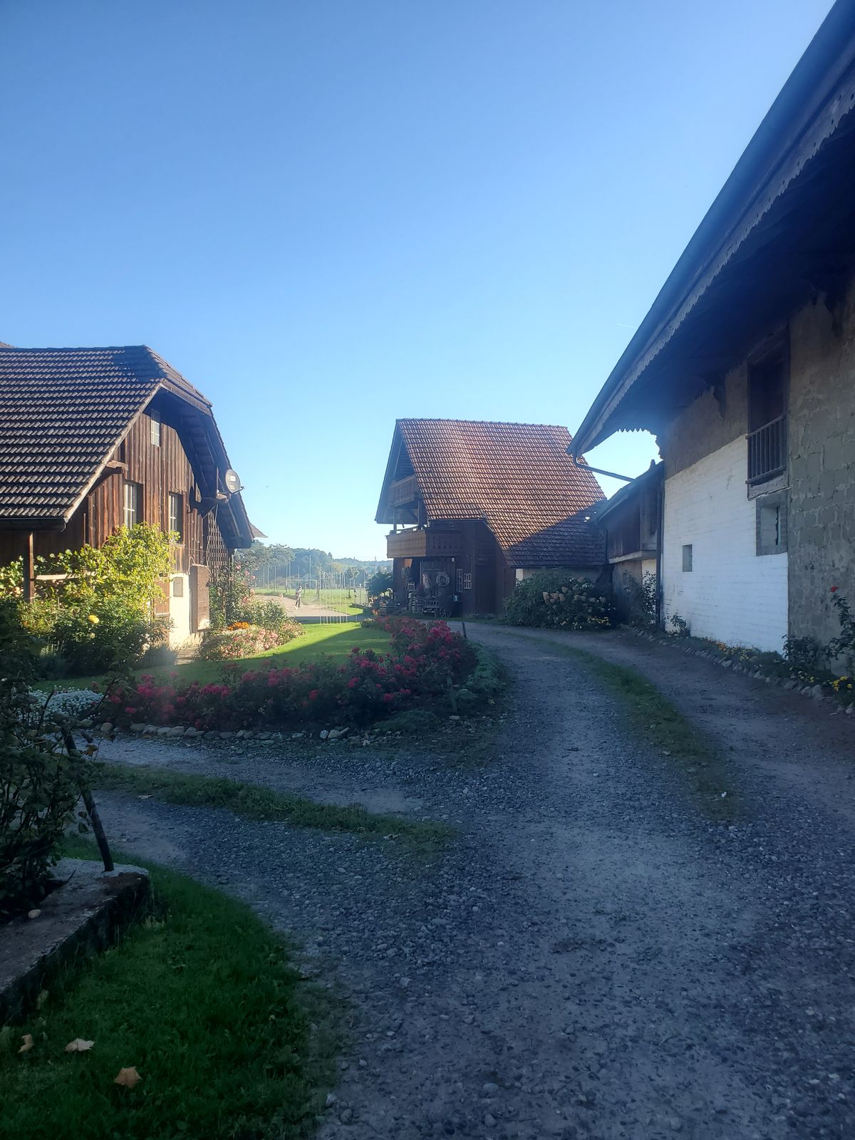 Farm in Ueberstorf
